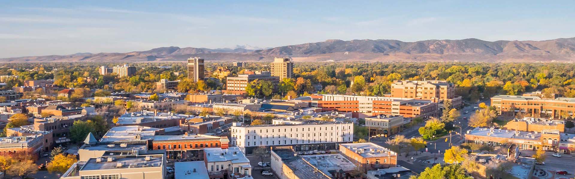 Neon color image of a band playing and people singing along